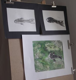 Poissons à l'encre