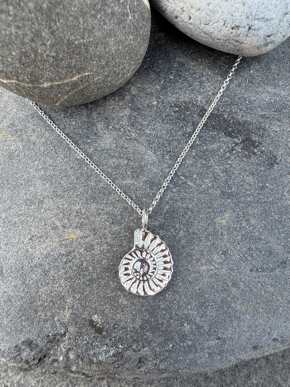 Thumbnail: Ammonite necklace 