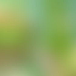 Cute Royal Frog Acrylic painting! Playing with Metallic Paint! FUN With Mixing Greens And Blues!