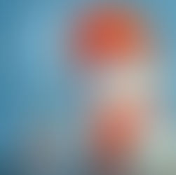 DECEMBER 2022 Wallpaper!