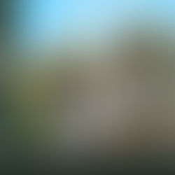JULY 2026 Wallpaper Free for Your Devices