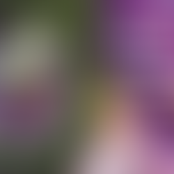 Simple PANSY Painting! Traceable Available! Mostly STEP BY STEP! By: Annie Troe