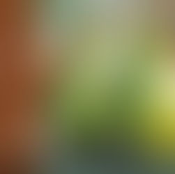 MARCH 2026 Wallpaper Free for Your Devices