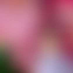 Painting a DETAILED Peony! How to Paint Flower Petals! By: Annie Troe