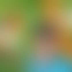 European Robin Simple Painting - Save white for the snow and Highlights