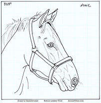 Traceables Farm | annietroe