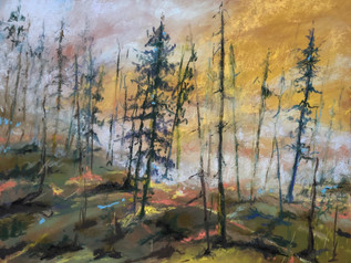 Bootleg Fire, Oregon