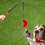 Thumbnail: Dog Hand Lure - Dog Training, Playing and Stimulation