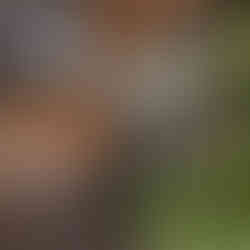 Hotel Motto by Hilton