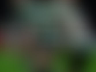 Sporting vence PSG e está em lugar de apuramento direto