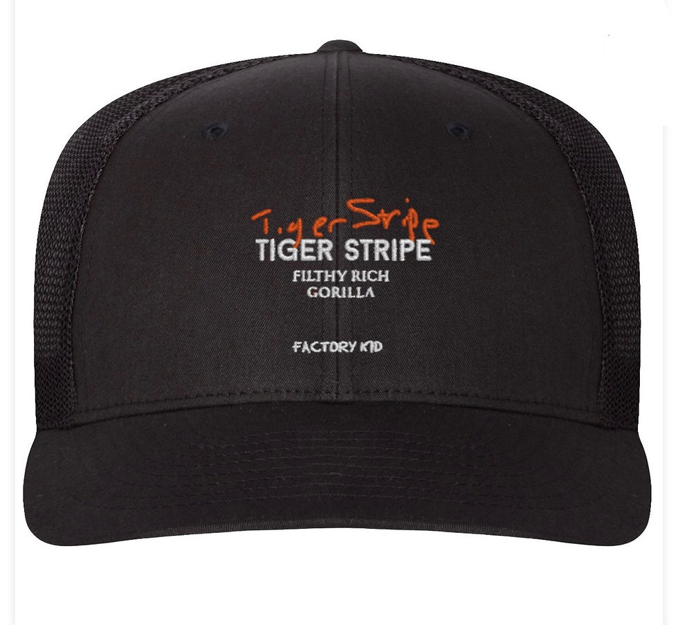 Thumbnail: TS x FRG hats up now on site.. via Factory Kid @factory_kid_news_ 