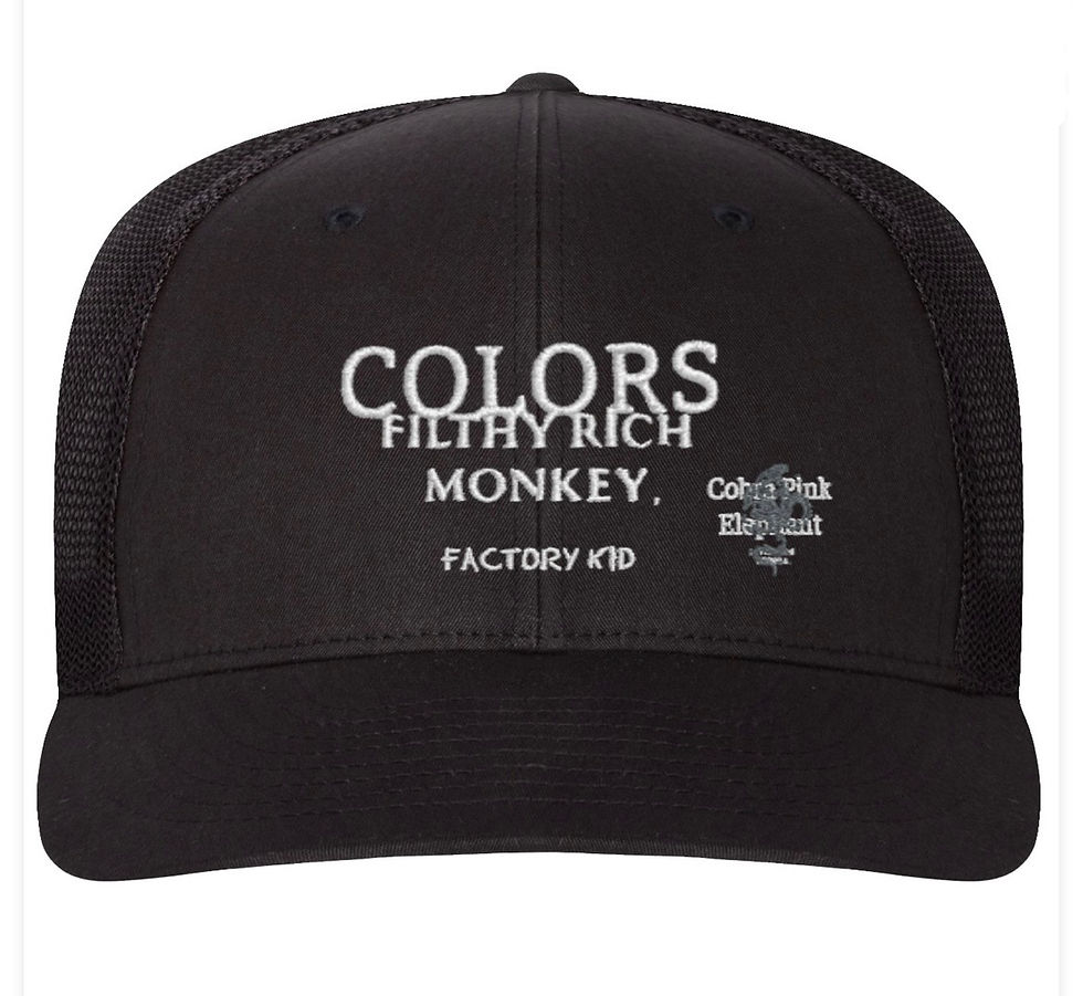 Thumbnail: New Filthy Rich Monkey add on Filthy Rich Monkey x COLORS hats