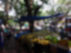 mangoes for sale