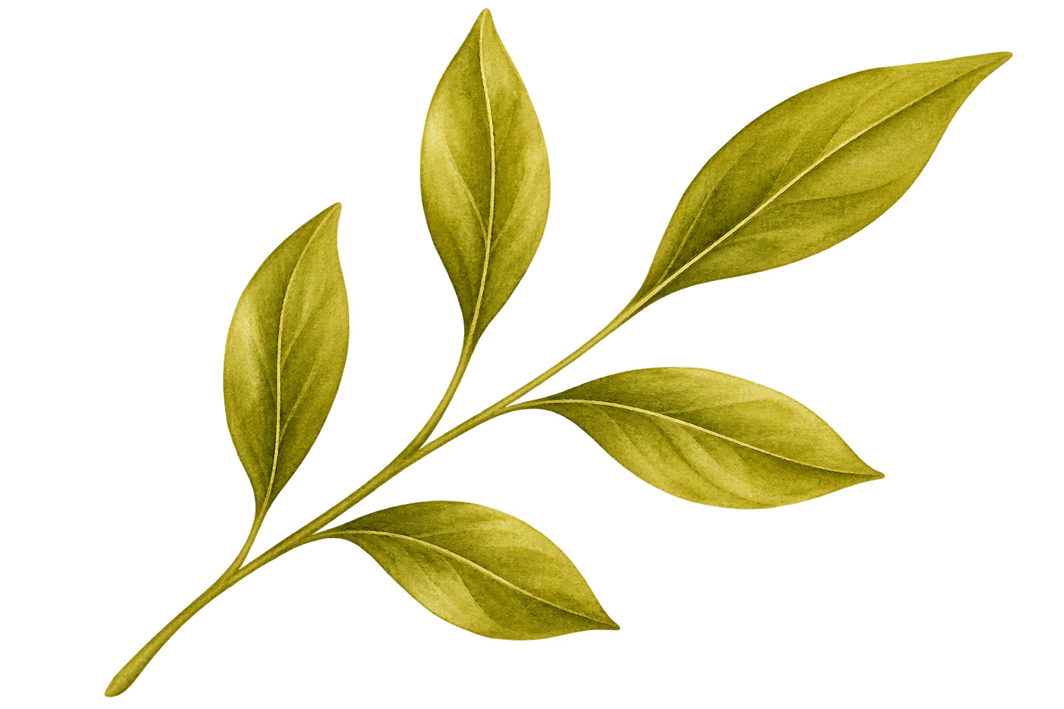 Decorative leaf