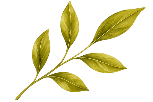 Decorative leaf, invoking a feeling of calm