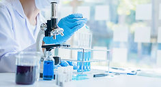 Captura de pantalla 2025-11-28 165005_edited.jpg