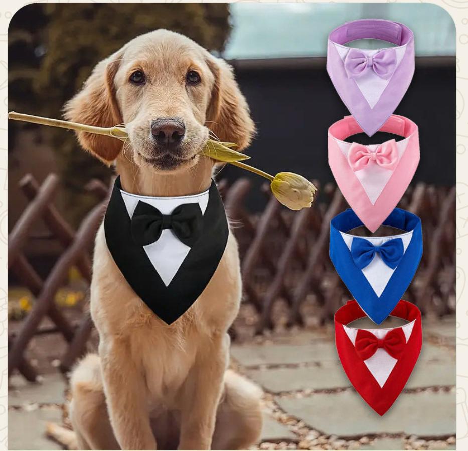 Bandana estilo smoking com gravata borboleta para cães em várias cores