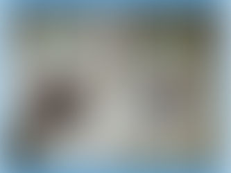 A solution for hair loss