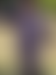 I30b membantu pembaikan badan dengan cepat