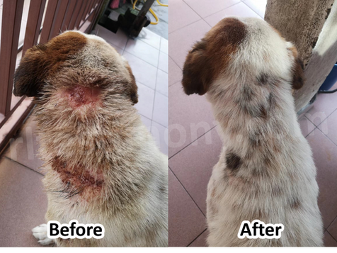 伤口康复速度非常快