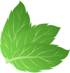 unnamed (1).png