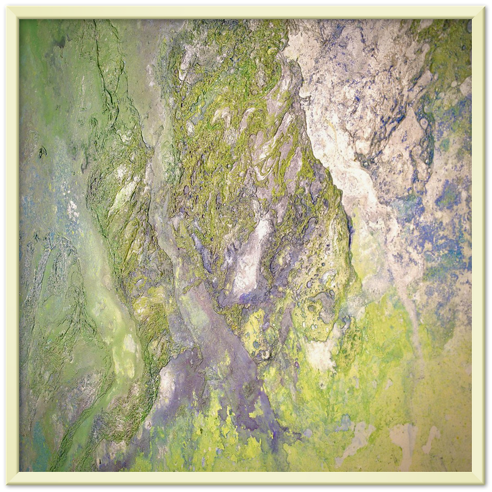 Thumbnail: topographic landscapes II - framed archival prints