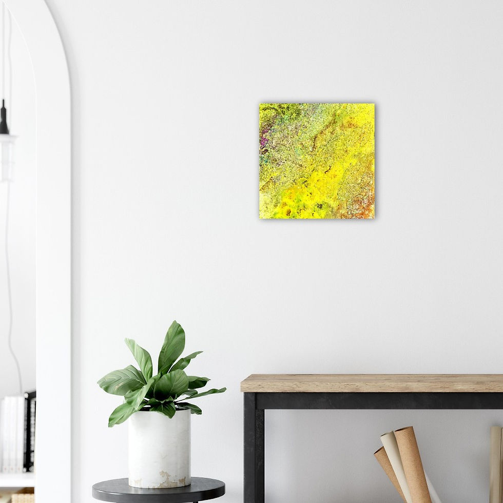 Thumbnail: lenticular fossil V - aluminum prints