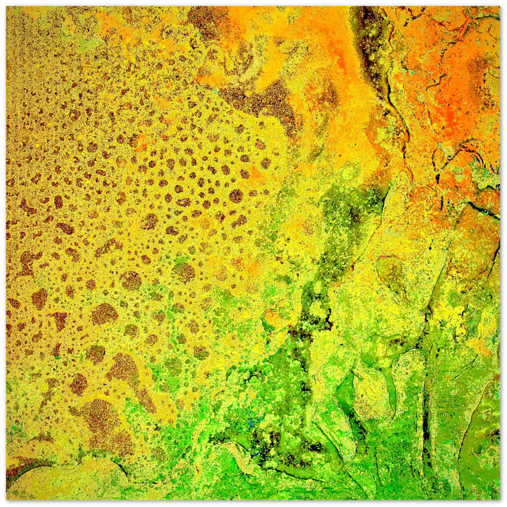 lenticular fossil II - premium semi-glossy frameless prints