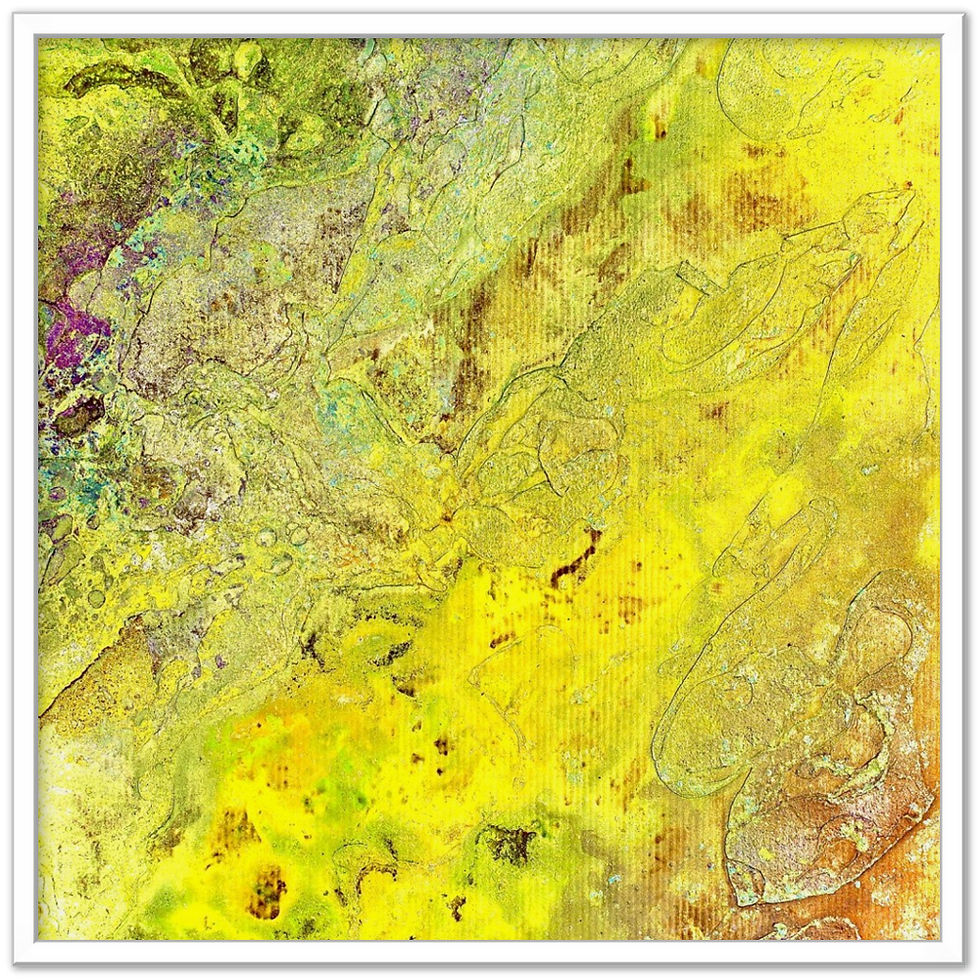 Thumbnail: lenticular fossil V - framed archival prints