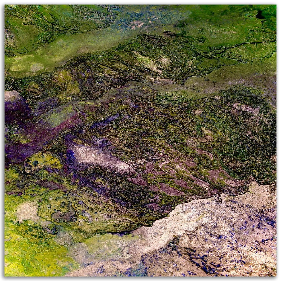 Thumbnail: multispectra III - aluminum prints