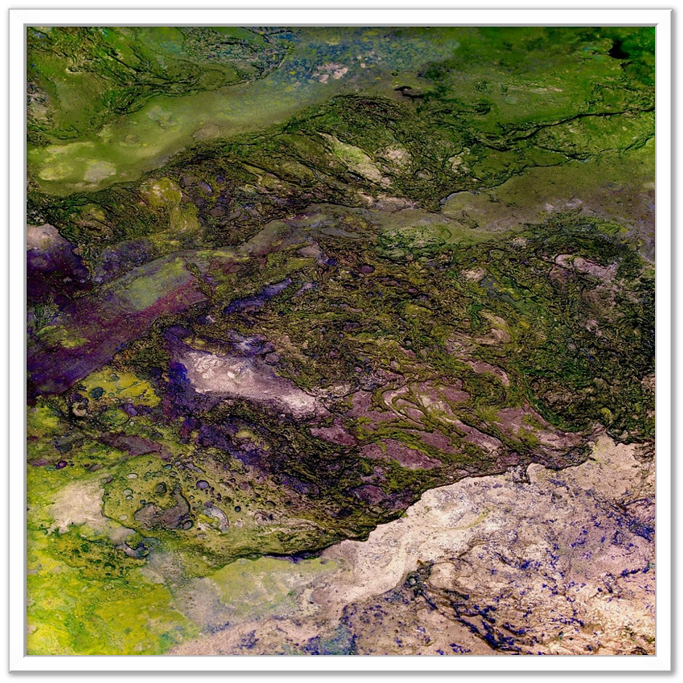 Thumbnail: multi spectra III - framed archival prints