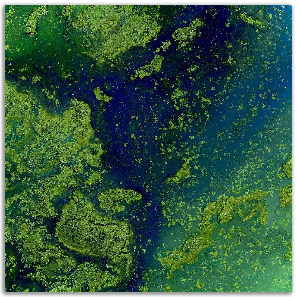 Thumbnail: topographic impressions VII - aluminum prints