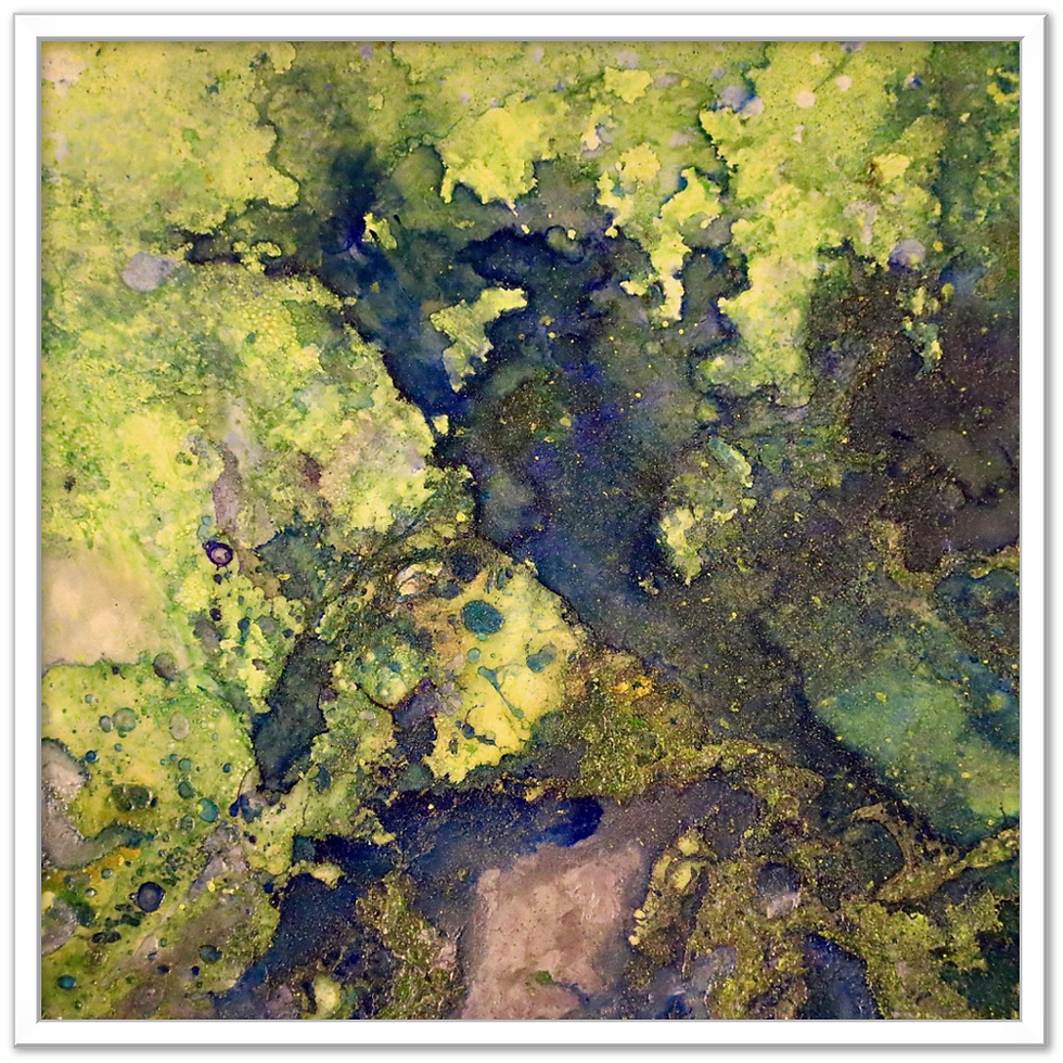 Thumbnail: multi spectra II - framed archival prints