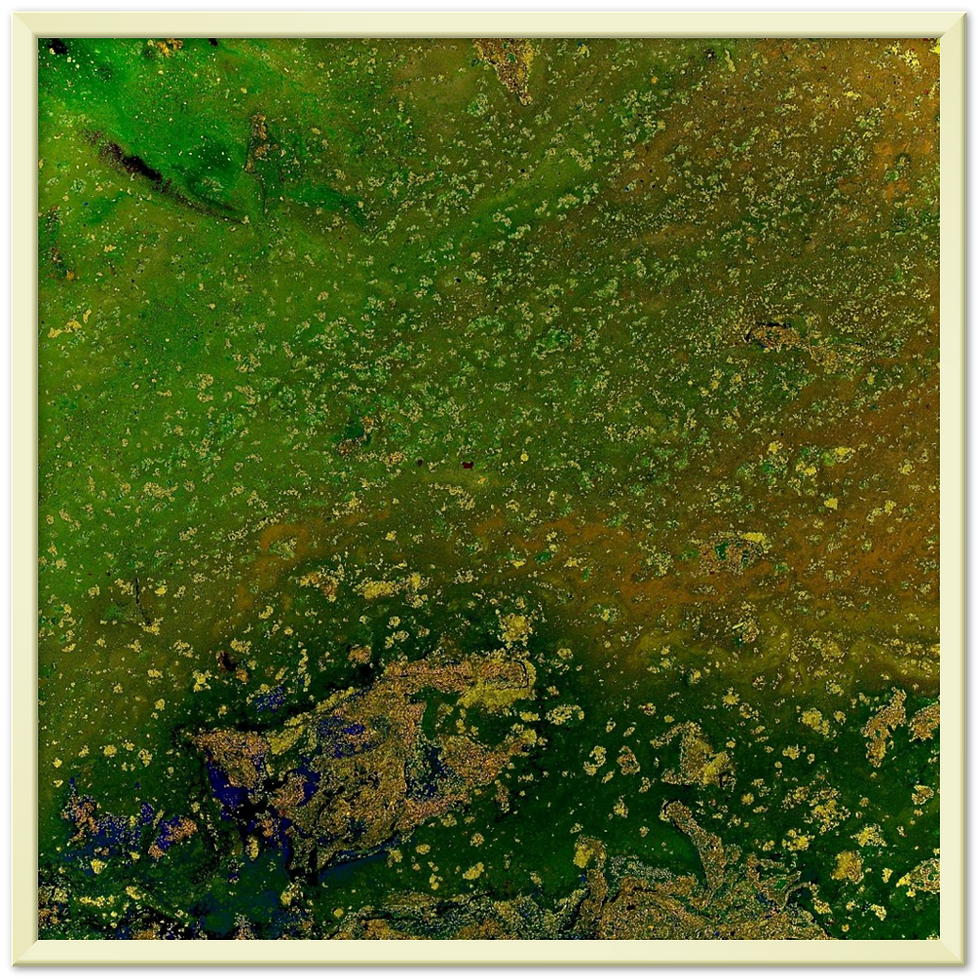 Thumbnail: topographic impressions V - framed archival prints