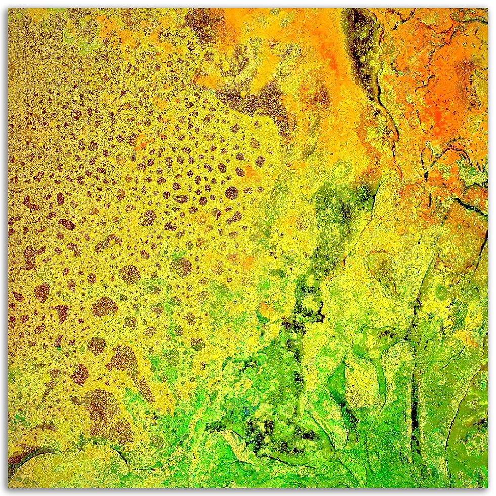 Thumbnail: lenticular fossil II - aluminum prints