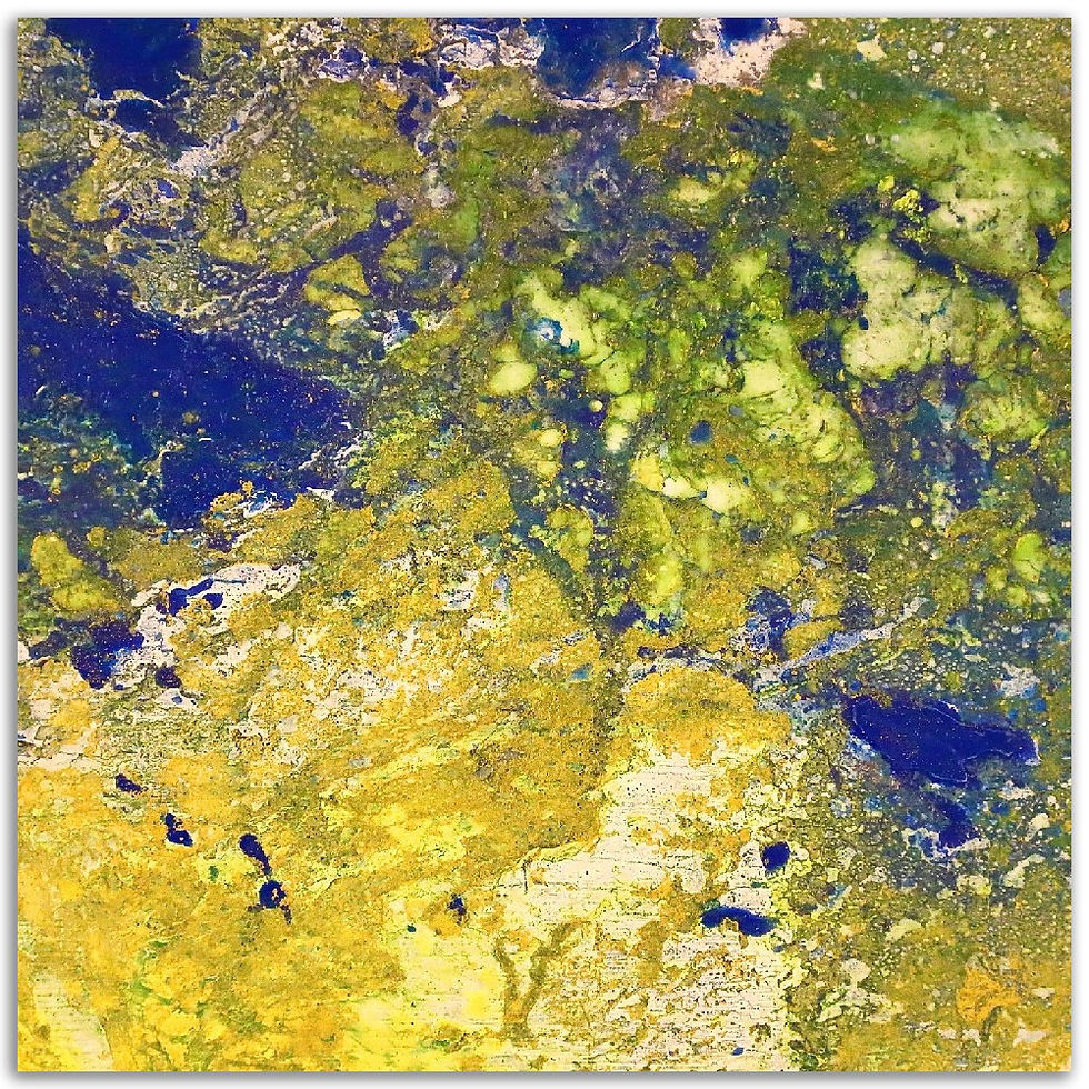 Thumbnail: cosmicopia II - aluminum prints