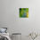 Thumbnail: lenticular fossil III - aluminum prints