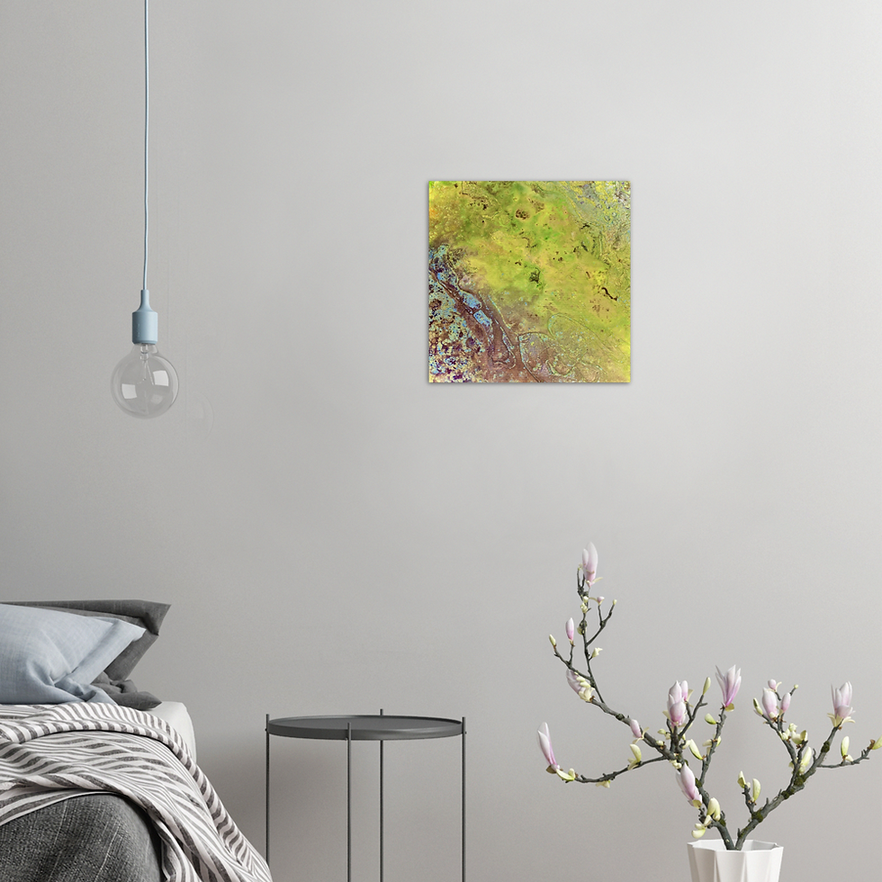 Thumbnail: lenticular fossil IV - archival matte frameless prints