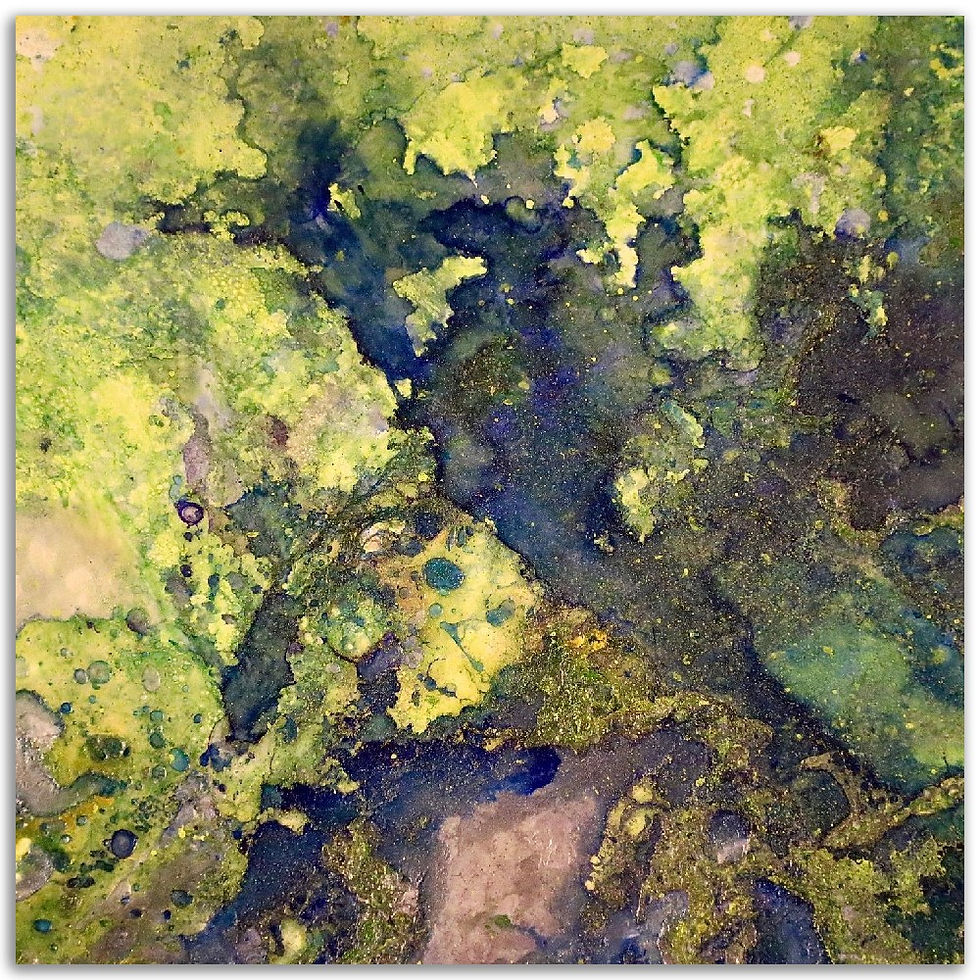 Thumbnail: multispectra II - aluminum prints