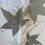 Thumbnail: Shawl - Eco Print 4