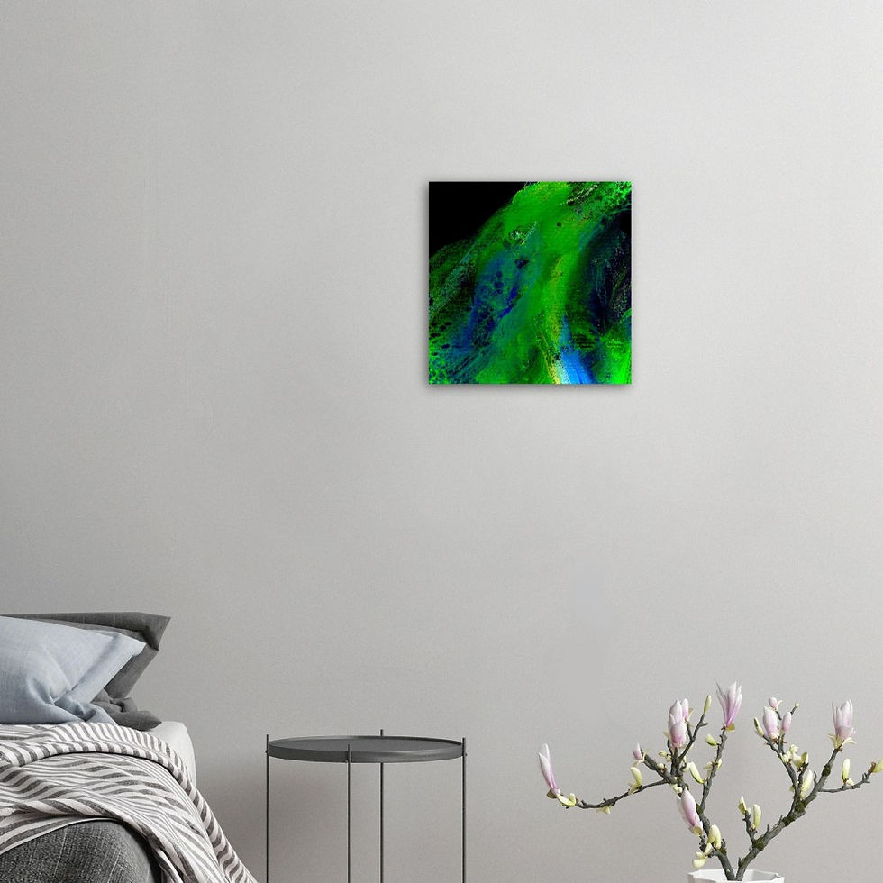 Thumbnail: diatom II - aluminum prints