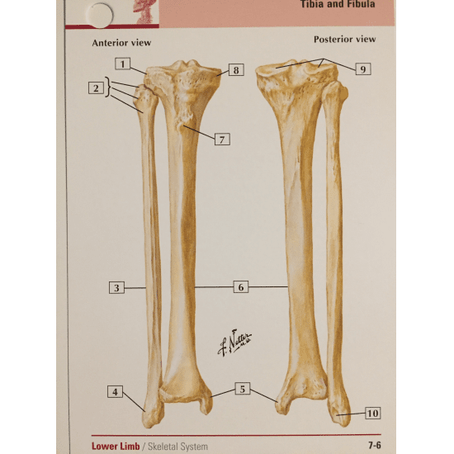6. Reset Bones and a Torture Frame