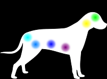 chakra dog-modified inverse.png