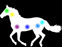 Des points de couleur sur un cheval.