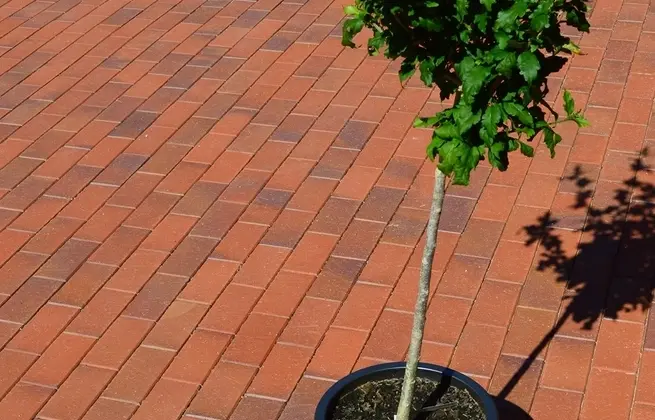 Плитка тротуарна клінкерна Vandersanden Zittau