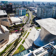 Unmissable guide for your visit to Polanco