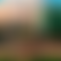 The most instagrammable places in the metropolis.