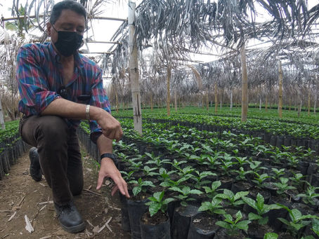 Visita a vivero de café en El Refugio en 19/05/22