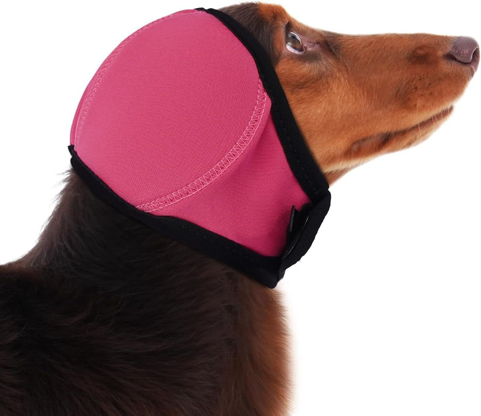 Thumbnail: Dog Head Cover