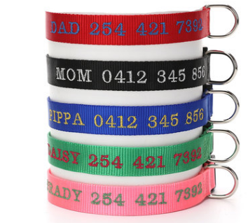 Thumbnail: Dog Collar with Anti-Loss and Embroidered Design